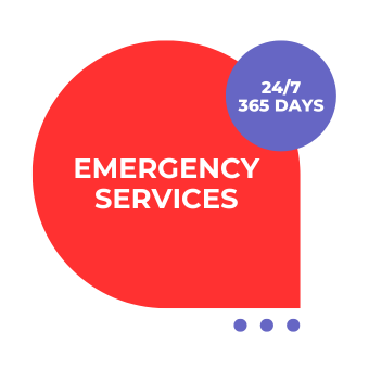 Emergency Services Ireland